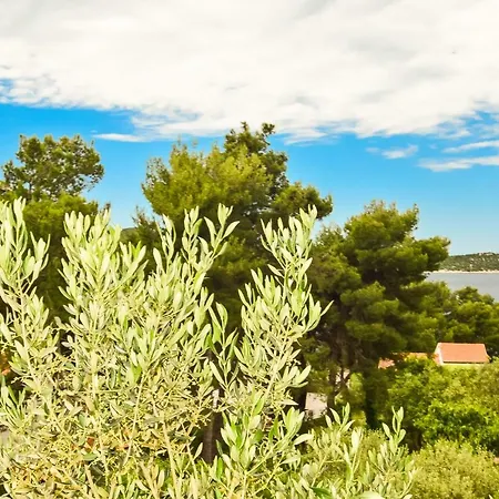 Apartmán Zoricic Žaborić